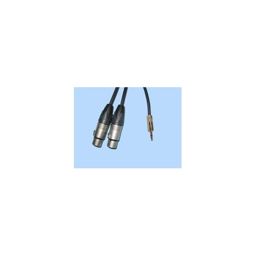BRTB Player 1/8in to Dual XLR Female