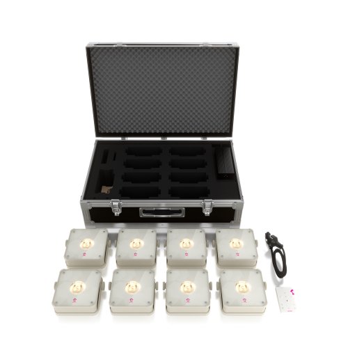 Ape Labs Mini 2.0 IP - Creme RoadPack (8pc)