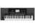 Korg PA300 61-Key Professional Arranger