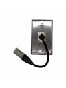 AVShop Single Gang 1x Wall Plate w/ XLR Female to Male Panel Mount Cable
