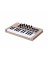 Arturia MINILAB 3 MIDI Keyboard & Pad Controller - Limited Edition Champagne