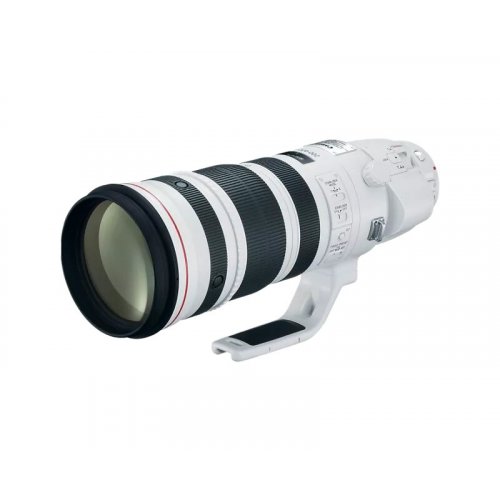 Canon EF 200-400mm f/4L IS USM Extender 1.4x