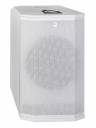 HK Audio POLAR 12 MK2 Powered Column Speaker System - White