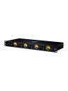 Black Lion Audio Auteur Quad² Four Channel Mic Preamp