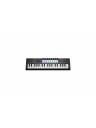 Novation Launchkey Mini 37 MK4 MIDI Keyboard Controller - Black
