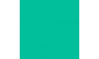 Rosco E-Colour+ 5461 Grotto Green Gel Sheet