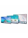 Peerless Neptune 4K HDR Smart Outdoor TV with Outdoor Mount - 65 Inch