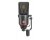 Neumann TLM 170 R MT Multi-pattern Mic w/ Tilting Side Bracket