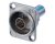 Neutrik NBB75DFG Grounded BNC D-Type Connector