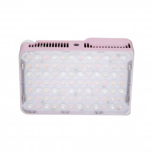 Amaran Ace 25c Full Colour Compact LED Light - Pink