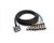 Hosa DB25 to XLRm Snake - 4 Meter