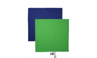 Rosco Slidey Dual-Sided Blue/Green Screen - Chroma Key, 48x48in