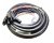 BRTB Basix Fan Snake XLRm to XLRf (12-Channel) - 100 Feet
