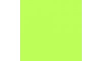 Rosco E-Colour+ 505 Sally Green Gel Sheet
