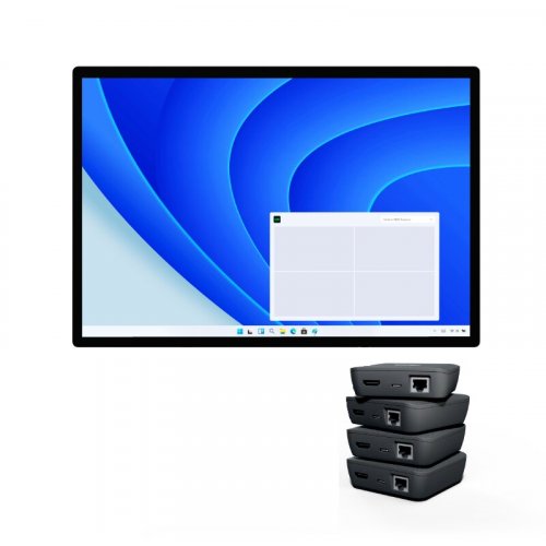 BirdDog VideoWall Bundle Includes Software & 4x BDPLAY