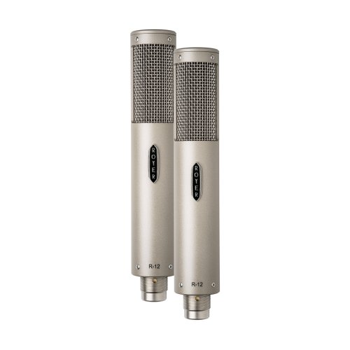 Royer Labs R12 Active Ribbon Studio Microphone (Matched Pair)