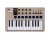 Arturia MINILAB 3 MIDI Keyboard & Pad Controller - Limited Edition Champagne