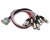 BRTB Viper DB25 AES Break In/Out to XLR - 3 Feet