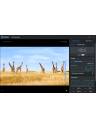 Kiloview NDI Recorder Software