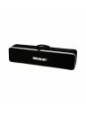 Amaran PT2c 2-Light Production Kit - 2 Foot