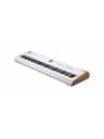 Arturia Astrolab 88-Key Stage Keyboard