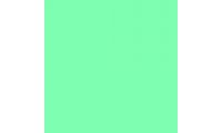 Rosco E-Colour+ 5455 Tarragon Gel Sheet