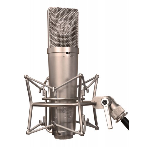 Peluso P-87 Multi-Pattern Condenser Microphone