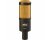Heil Sound PR 40 Dynamic Studio Microphone (Black/Gold)