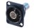 Neutrik NBB75DFIB BNC Isolated D-Type Panel Mount (Black)