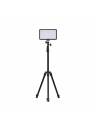 Amaran Light Stand (2m)