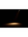 ADJ Encore FR20 DTW LED Fresnel