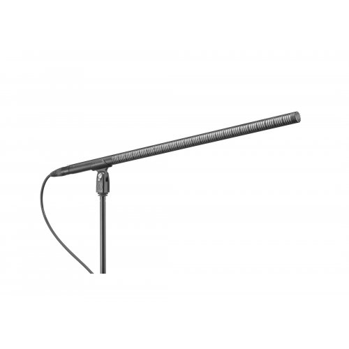 Audio Technica BP4071L Line + Gradient Condenser Microphone