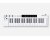 Arturia KeyStep 37 Keyboard Controller