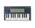 Novation FLkey Mini 25 Key Compact MIDI Keyboard for FL Studio