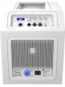 Electro-Voice EVOLVE 50 Column Speaker Array w/ Subwoofer - White
