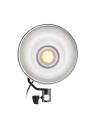 Wescott L60 Bi-Color COB LED