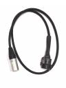 BRTB Neutrik NCJ6FI-S Combo Jack to XLR - 6FT