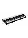 Korg GRANDSTAGEX Pro 88-Key Stage Piano