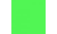 Rosco Roscolux 89 Moss Green Gel Sheet