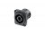 Neutrik NL4MPXX NL4 Jack D-Type Panel Mount