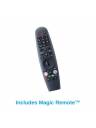 Peerless Neptune 4K HDR Smart Outdoor TV with Outdoor Mount - 65 Inch