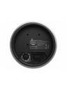 Bose DM6PE DesignMax 125W Pendant Loudspeakers (Pair) - Black