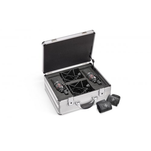 Neumann TLM 170 R MT Multi-pattern Mic w/ Tilting Side Bracket Stereo Set