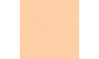 Rosco E-Colour+ 162 Bastard Amber Gel Sheet