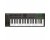 Nektar Impact LX49+ Keyboard Controller