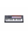 Novation FLkey Mini MK2 25-Key Compact MIDI Keyboard for FL Studio