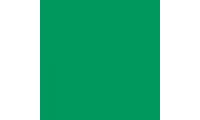 Rosco Roscolux 94 Kelly Green Gel Sheet