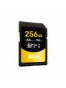Wise SDXC UHS-II V60 Memory Card - 256GB