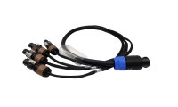 BRTB NL8 Female to Quad NL2 Female (NL8 to NL2 Splitter) - 12awg