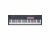 Novation FLkey 61 MK2 MIDI Keyboard for FL Studio